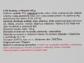 Mogyoró wasabiban 140g